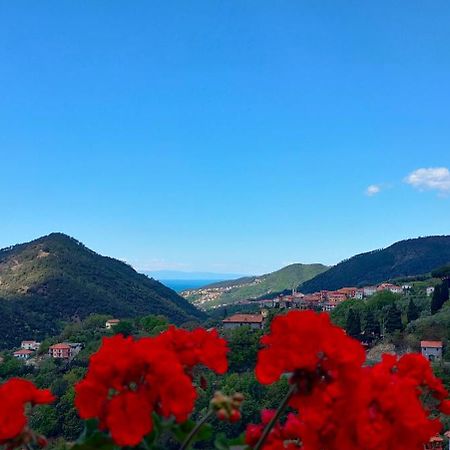 Camera Tra Le Cinque Terre, Camogli E Portofino. Vista Valle E Scorcio Mare All'Orizzonte Castiglione Chiavarese Bagian luar foto