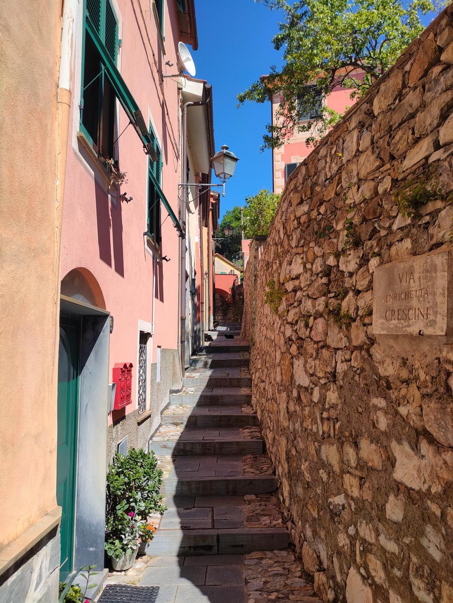 Camera Tra Le Cinque Terre, Camogli E Portofino. Vista Valle E Scorcio Mare All'Orizzonte Castiglione Chiavarese Bagian luar foto