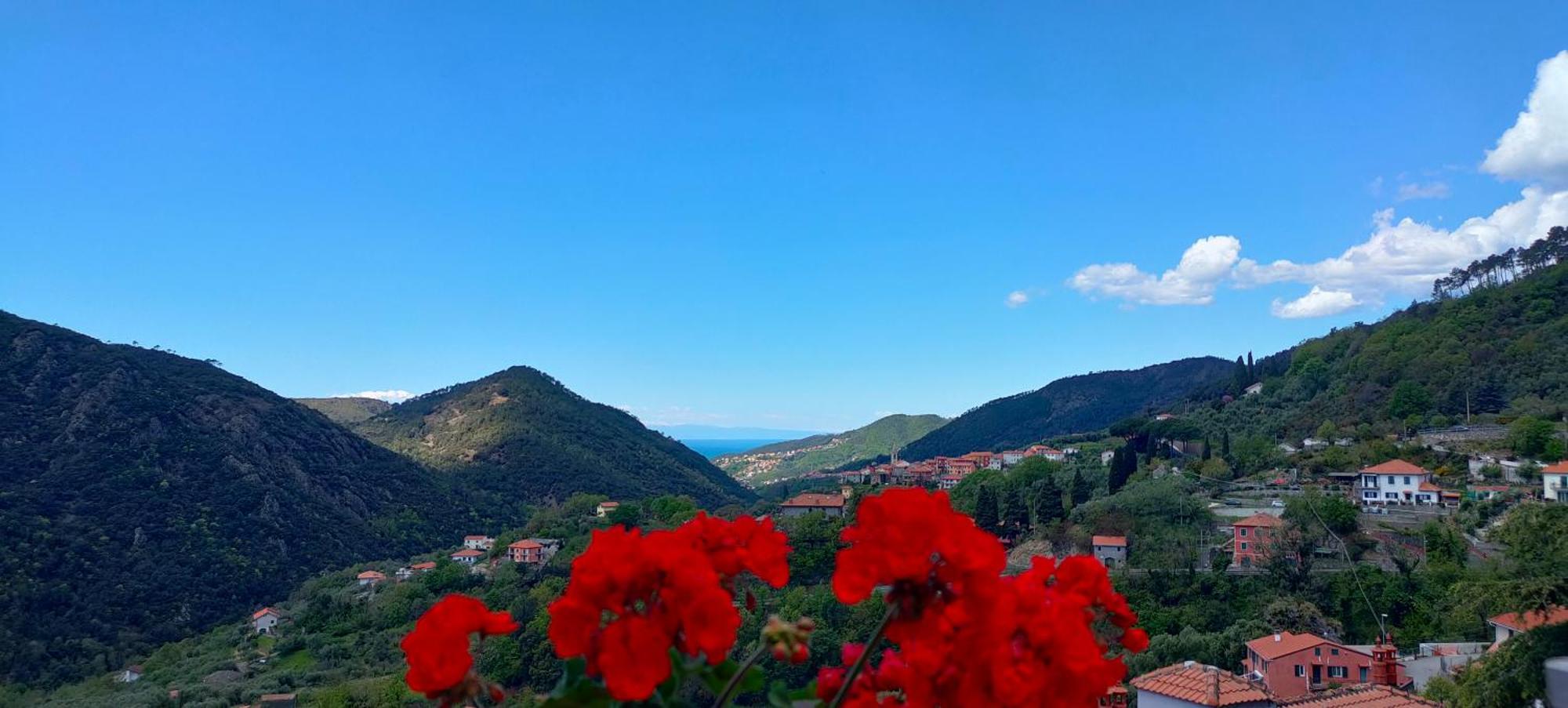 Camera Tra Le Cinque Terre, Camogli E Portofino. Vista Valle E Scorcio Mare All'Orizzonte Castiglione Chiavarese Bagian luar foto